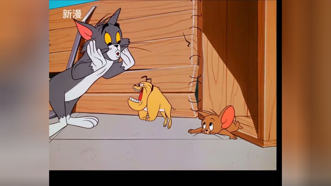 假老练和风车车