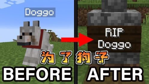 一场由狗子引发的战争,你坚守的MC规则是什么?_高清1080P在线观看平台_腾讯视频