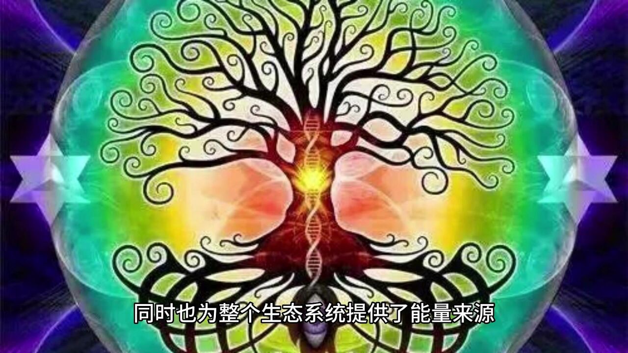 探索生命的力量和能量：解密生命的本质和独特之处！_高清