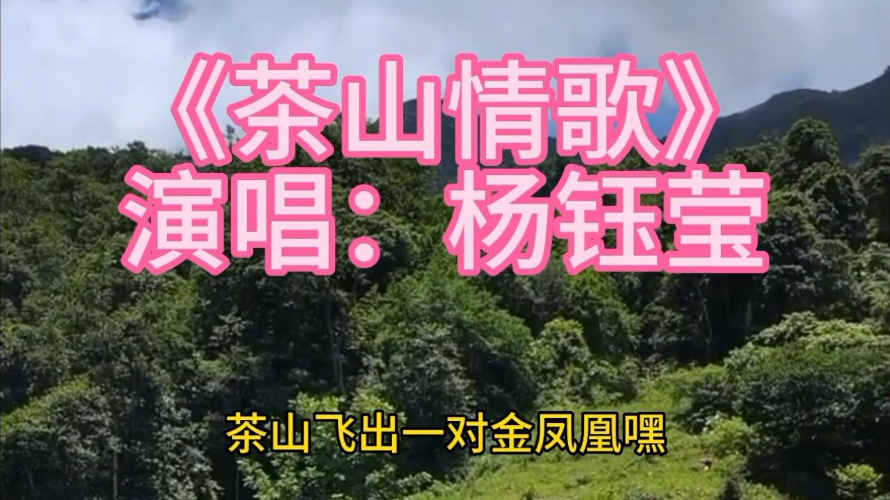 玉女甜歌皇后 杨钰莹演晿《茶山情歌》完整版,70,80后的记忆