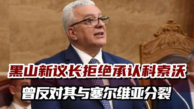 美媒:获得亲俄、亲塞党派支持,北约成员国黑山选出新政府