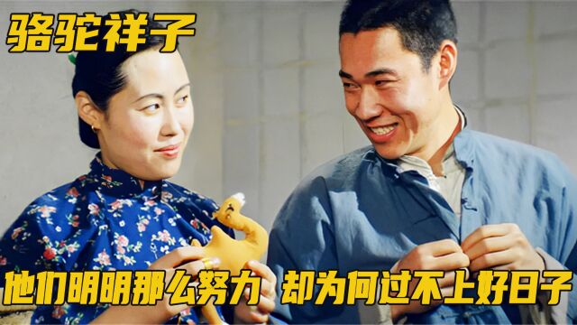 他们明明那么努力,为什么始终过不上好日子,《骆驼祥子》谁看懂了?