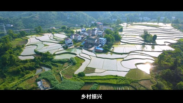 让专业更职业,让实践更高效,让电商更活跃,让实力更显著.安徽新华《李鹏大师工作室》应运而生!