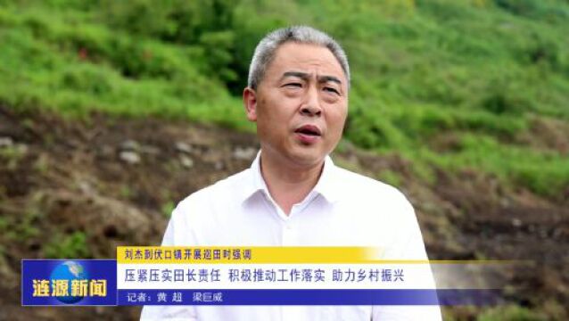 刘杰到伏口镇开展巡田时强调:压紧压实田长责任积极推动工作落实 助力乡村振兴