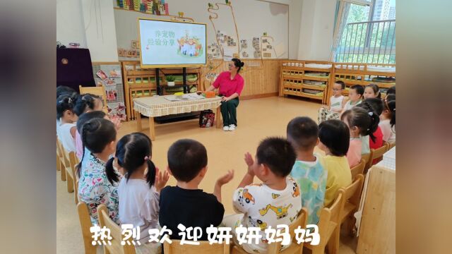 幼儿园家长助教