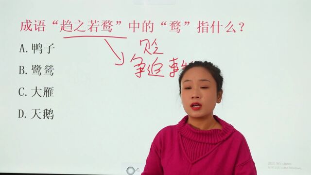 成语“趋之若鹜”中的“鹜”指鸭子还是鹭鸶? 你选对了吗