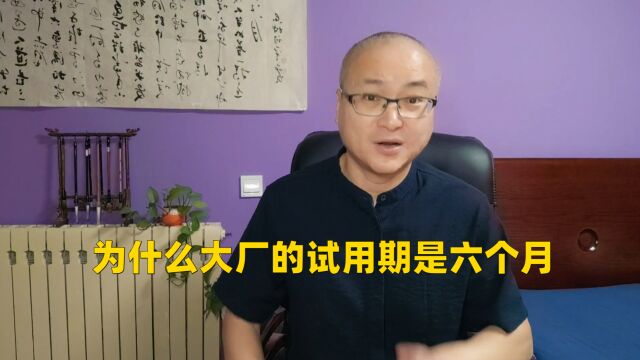 为什么大厂的试用期是六个月