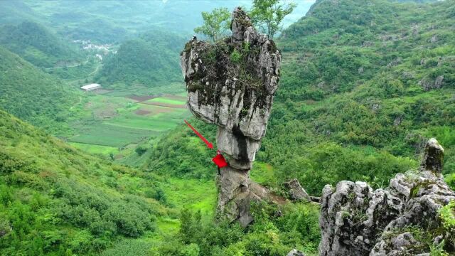 云南深山一奇石,上粗下细屹立悬崖边万年不倒,大自然鬼斧神工!