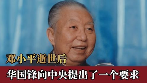 邓小平逝世后，华国锋向中央提出一个要求，中央鼎力相助