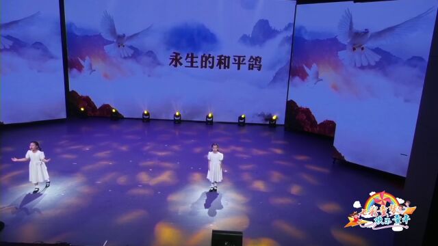 永生的和平鸽 视频演说