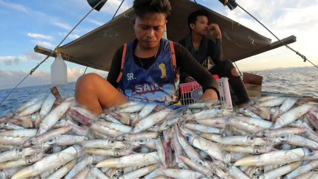 国外牛人赶海抓笔管鱼,入夜后用蓝灯诱惑排刺倒钩钓,大家见识下