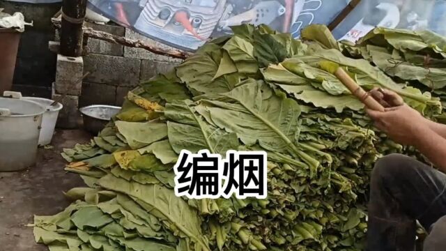 探秘烟草业真相:一包18元卷烟背后的秘密