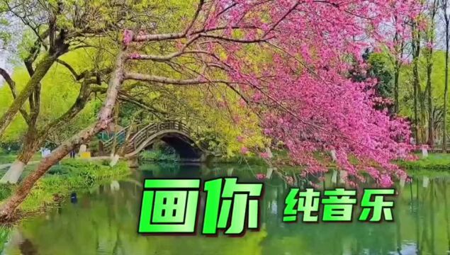 纯音乐《画你》电子琴版