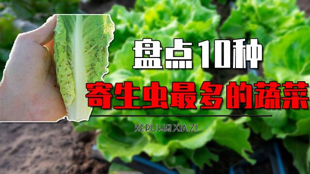 10种寄生虫最多的蔬菜都有哪些?花菜里寄生虫扎堆,生菜里也有