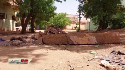 苏丹武装冲突持续 西达尔富尔州州长遇袭身亡