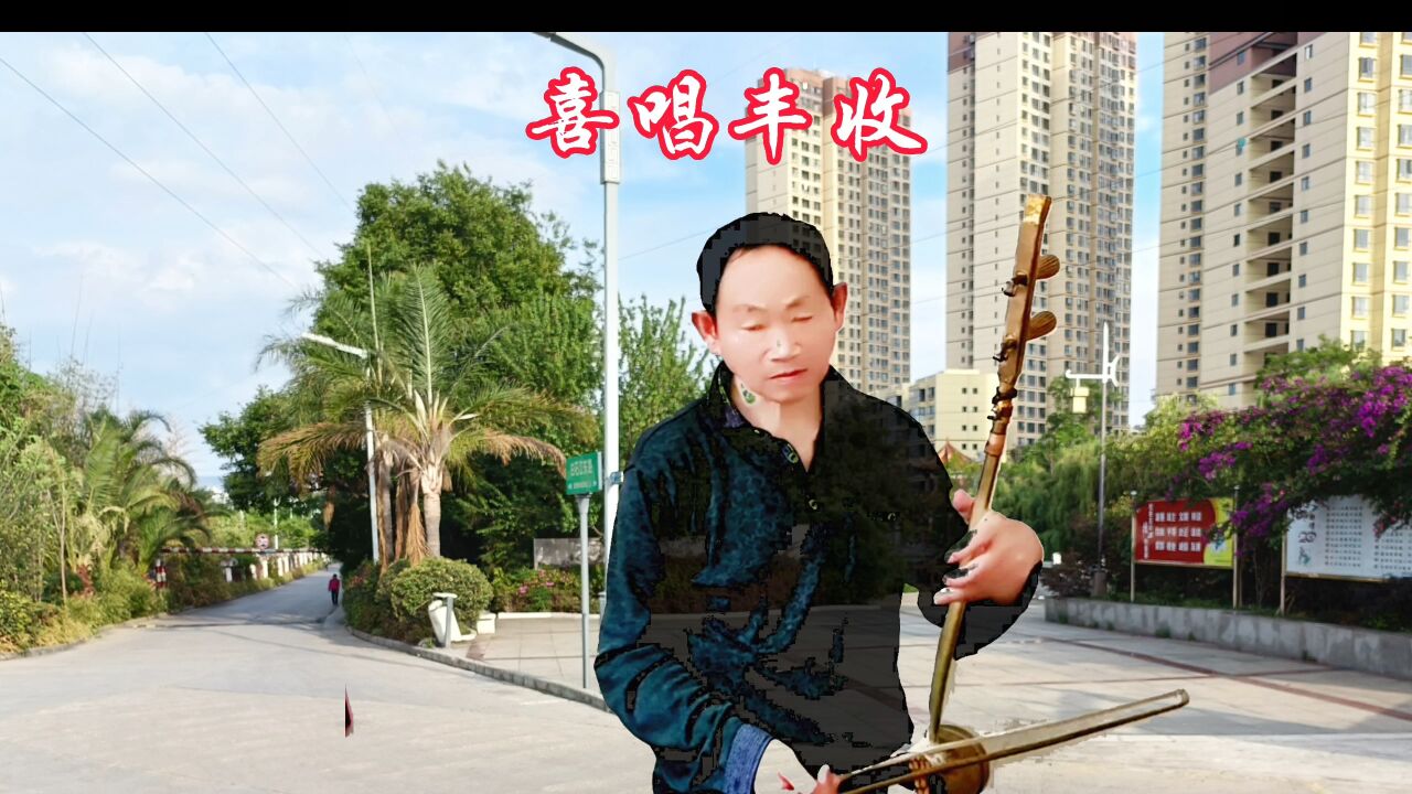 经典二胡曲《喜唱丰收》二胡独奏
