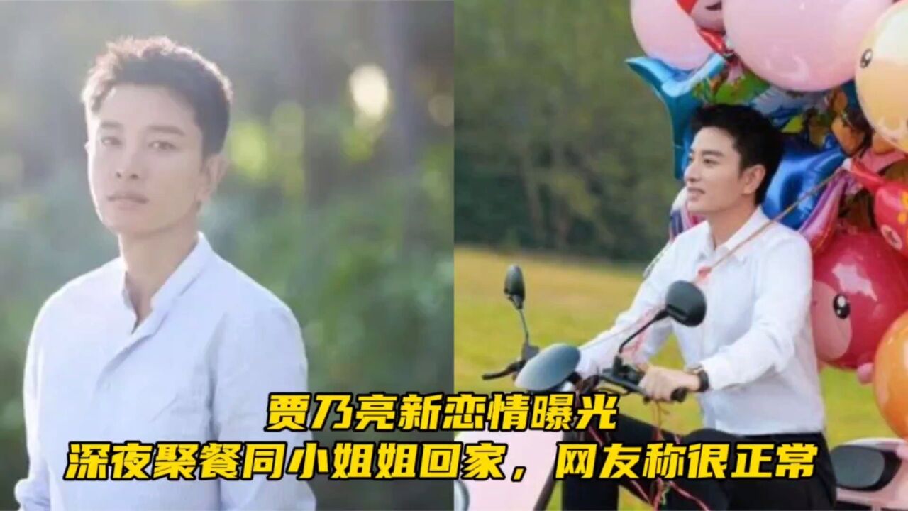 贾乃亮新恋情曝光,深夜聚餐同小姐姐回家,网友称很正常