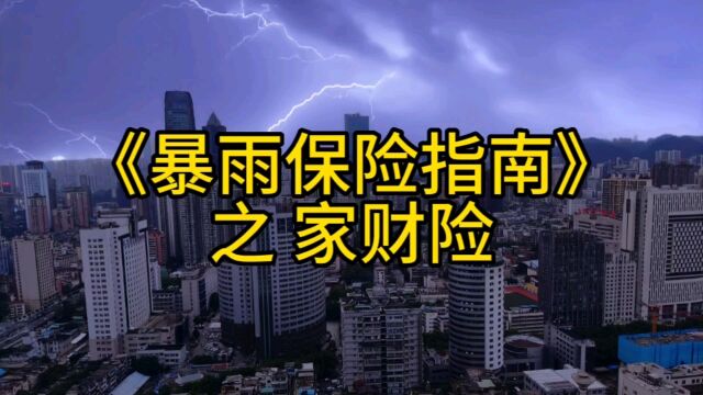 《暴雨保险指南》之家财险