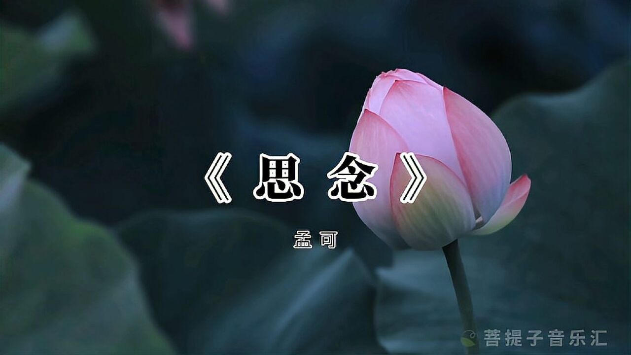 幸好思念无声,否则震耳欲聋