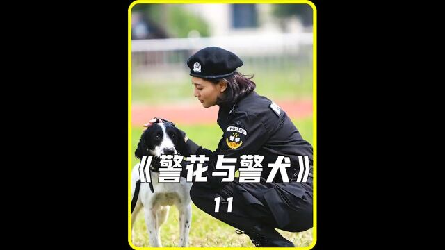 警犬樱桃靠着机智和勇敢救了婴儿的命 # 猕猴桃好剧必看# 警花与警犬