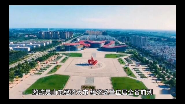 2023年19月潍坊各地财政收入表现,诸城持续向好,临朐增速优异