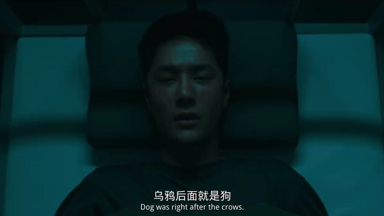 你们怕狗吗?_腾讯视频