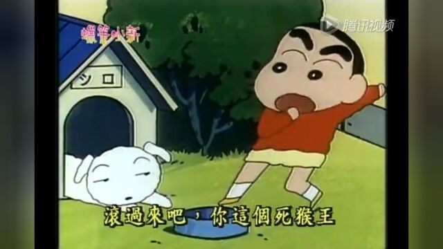 蜡笔小新(第一季跟小白一起看家)