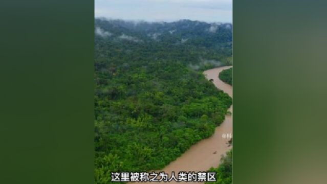 亚马逊雨林最可怕的7大生物,最后一种碰一下都不行三