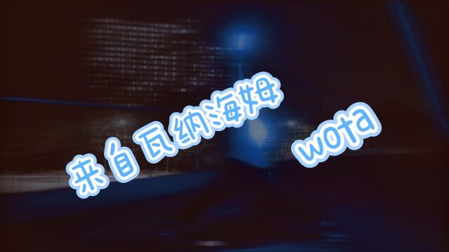 【wota】来自瓦纳海姆