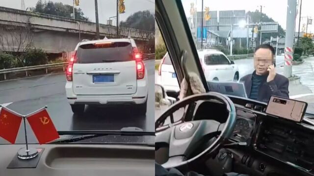 国企领导别车并逼停旅游客车当地纪委启动调查游客被要求下架视频