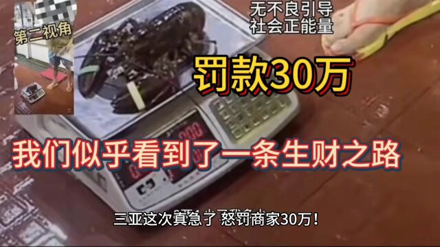 三亚这次真急了,怒罚商家30万!网友却从中发现一条“生财之路”