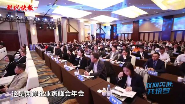 释放新能源新活力!两岸企业家齐聚常州谋“新”机遇