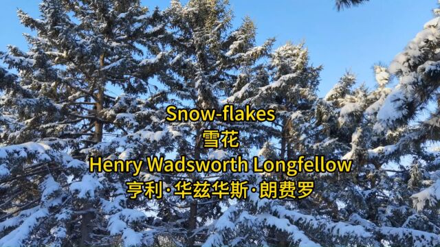 英文诗歌 《雪花》 Snow Flakes