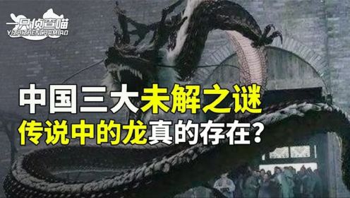 中国三大未解之谜，营口天降龙之谜，证实传说中的龙真的存在？