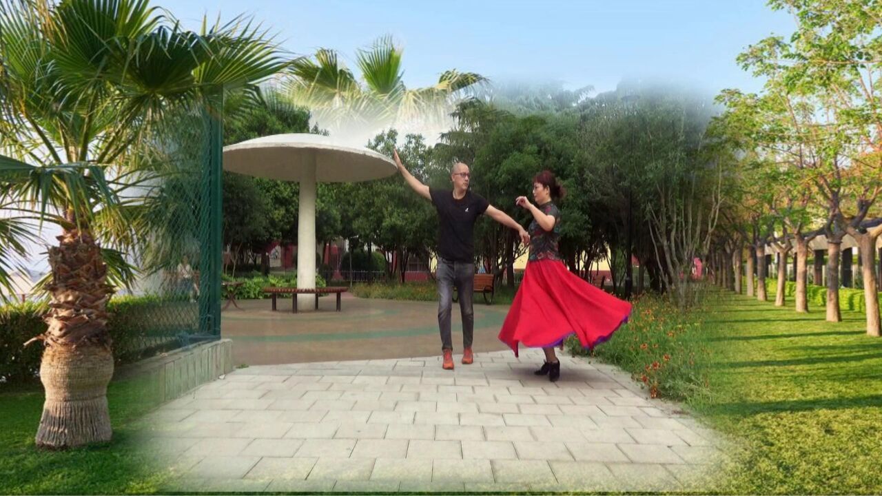 快四交谊舞《依兰爱情故事》,歌曲幽默,舞步欢快,花样简单好看