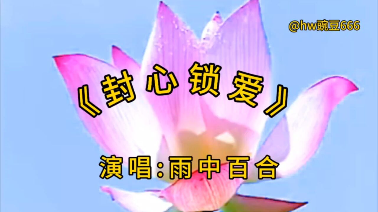 流行歌曲 雨中百合一首《 封心锁爱》歌词句句入心,超级好听!