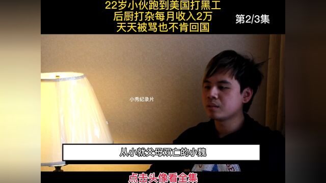 22岁小伙跑到美国打黑工,后厨打杂每月收入2万,天天被骂也不肯回国#纪录片#解说#打工 2