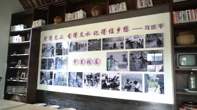 村集体收入从0到超100万!河南兰考县张庄村三产融合发展,实现华丽蝶变