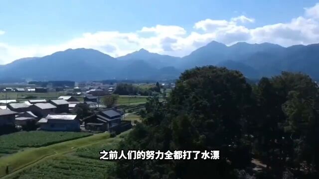 为何日本的农民,保留烧秸秆的传统?科普秸秆秸秆禁烧 2