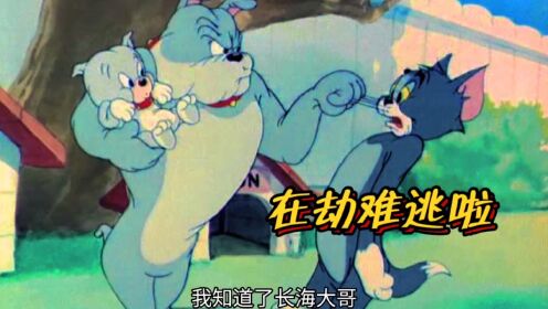 搞笑配音：大傻猫为了抓小耗子，却得罪了大笨狗_高清1080P在线观看平台_腾讯视频