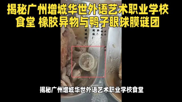 揭秘广州增城华世外语艺术职业学校食堂 橡胶异物与鸭子眼球膜谜团