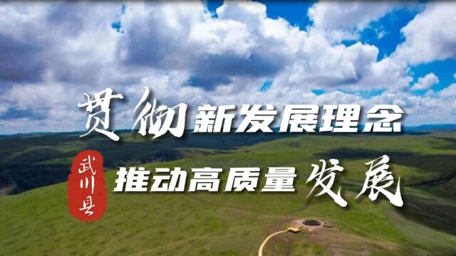 贯彻新发展理念,推动武川高质量发展