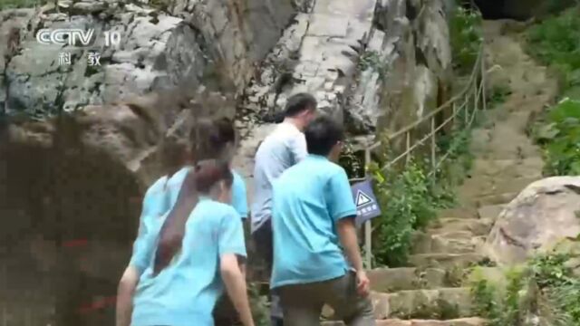 书本旅行团也跃跃欲试,准备像沈复一样爬上剑门,直登山顶