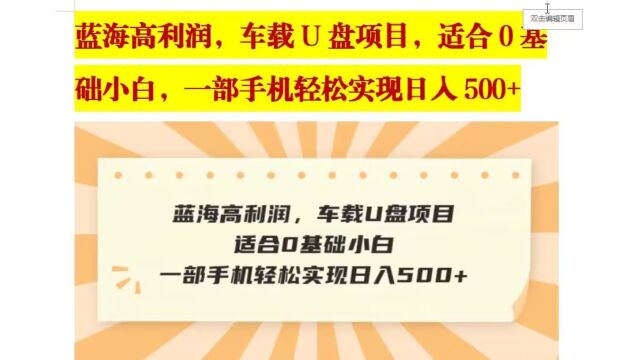 蓝海高利润,车载U盘项目,适合0基础小白,一部手机轻松实现日入500+