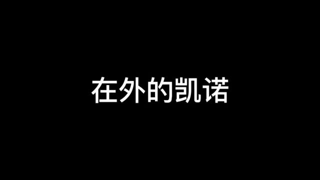 你喜欢哪个风格的凯诺?#凯诺夫妇