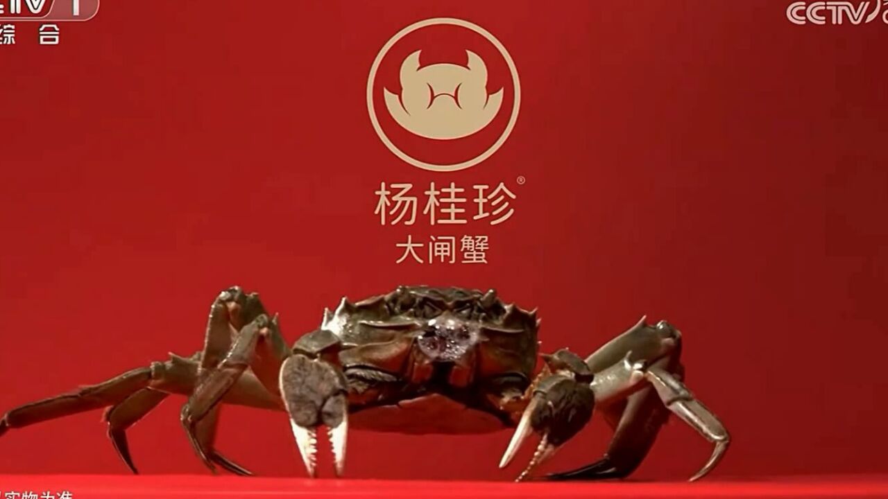 中央一台《新闻联播》前广告欣赏