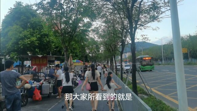 带大家领略一番深圳龙岗最大的路边摊基地