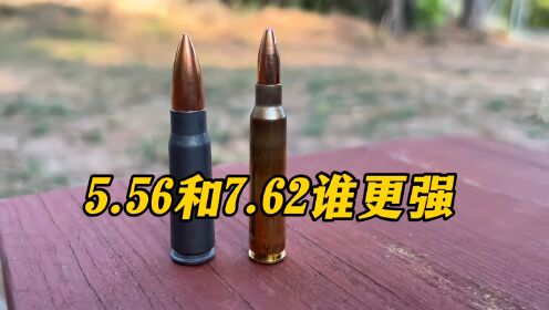 北约5.56子弹vs7.62x39毫米子弹，它们谁更强？_高清1080P在线观看平台_腾讯视频
