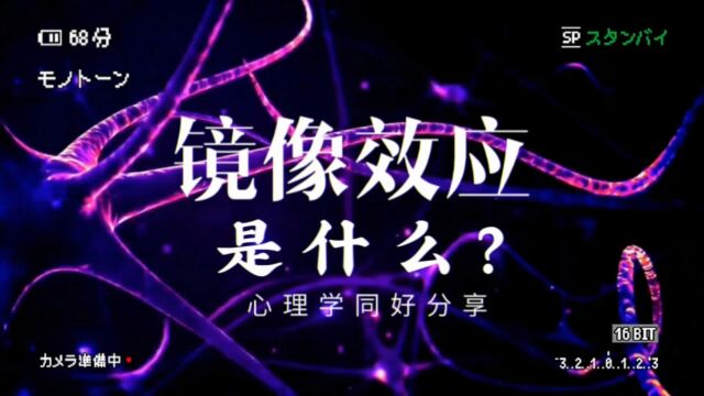 『心理学同好分享』什么是“镜像效应”