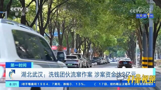 洗钱团伙流窜作案,武汉警方查证关联案件2千余起,涉案资金达3亿